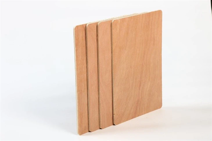 Bintangor waterproof plywood